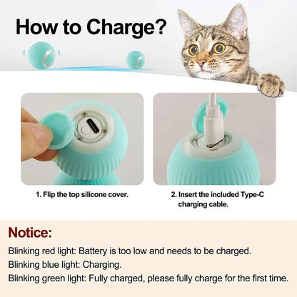 Smart Interactive Cat Car Toy